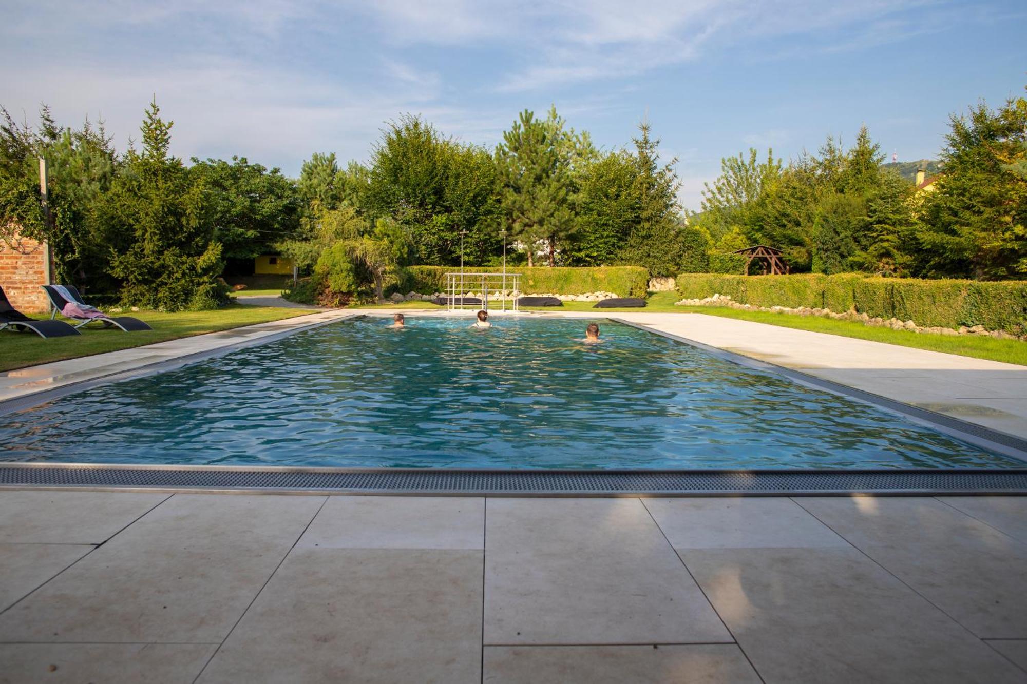 Amenity Penzion Horni Vestonice Exterior photo